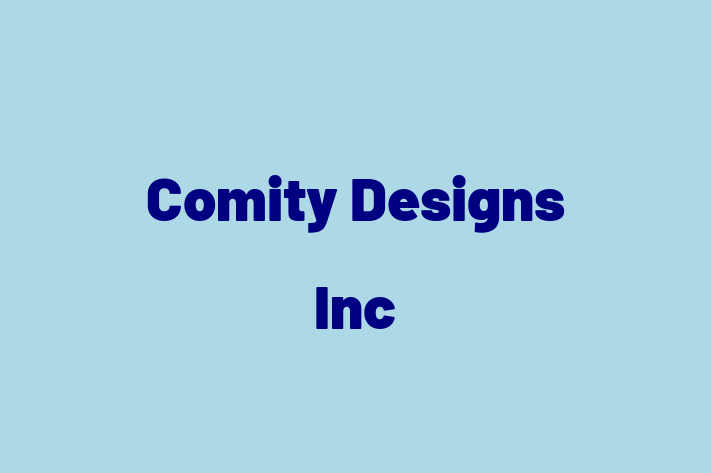 Software Consultancy Comity Designs Inc