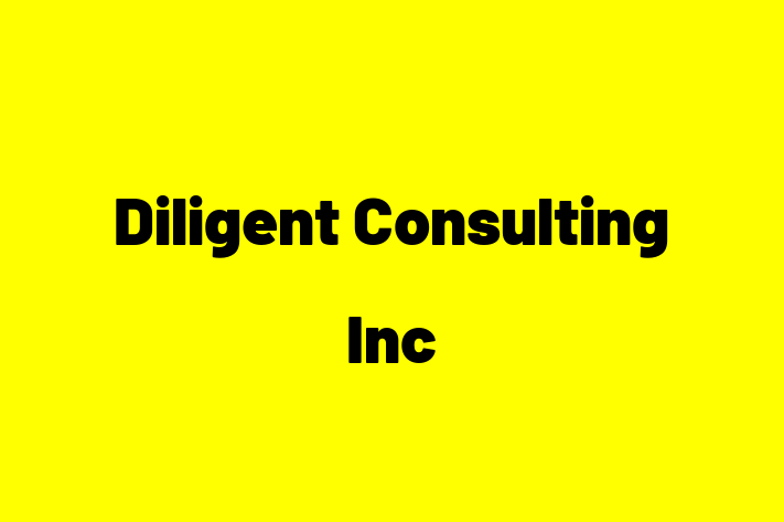 Tech Solutions Company Diligent Consulting Inc