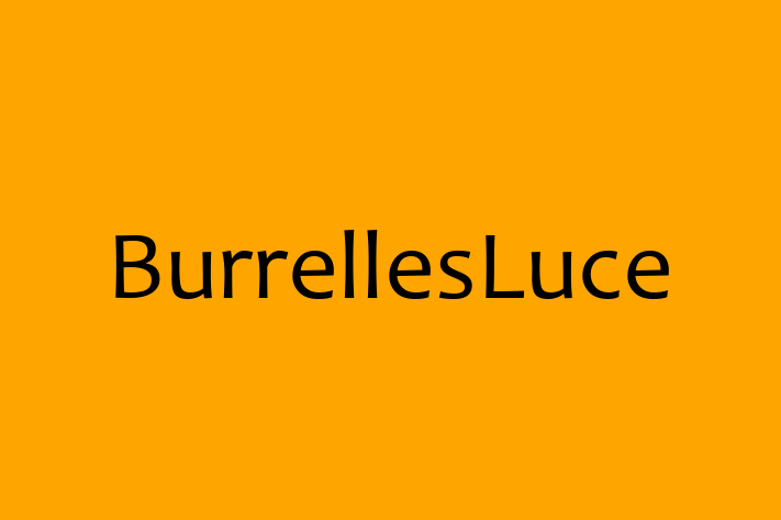 Technology Company BurrellesLuce