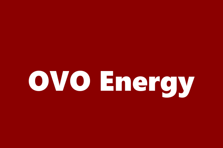 Digital Solutions Provider OVO Energy