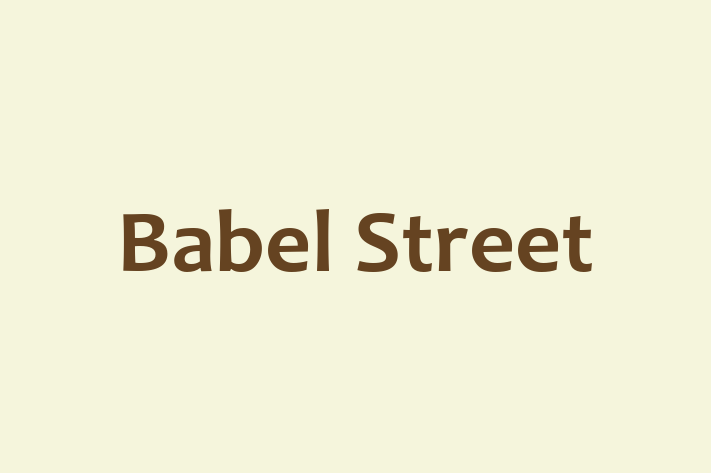 Tech Firm Babel Street