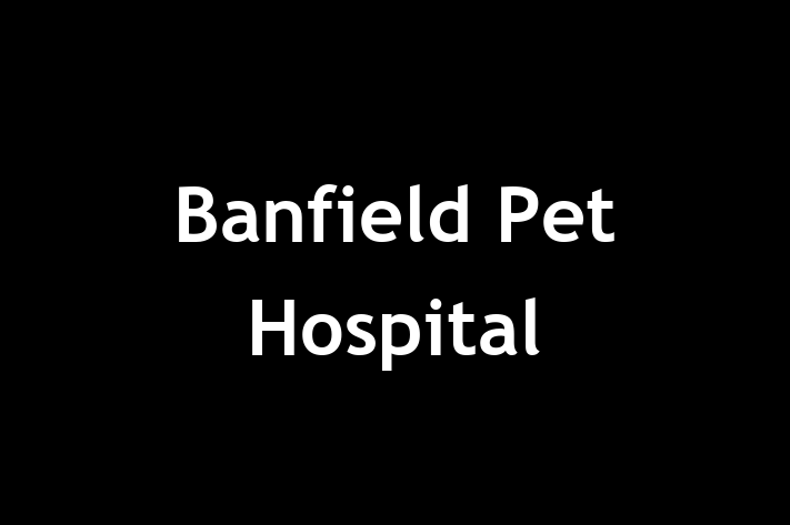 Workforce Management Banfield Pet Hospital