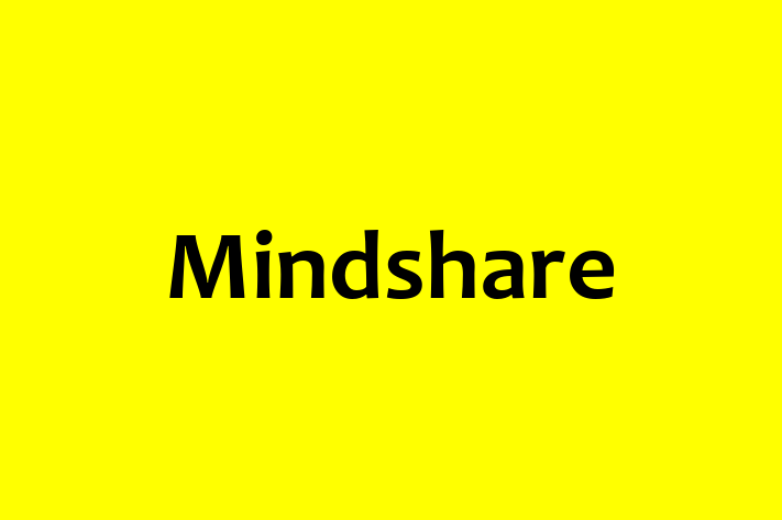 Software Firm Mindshare