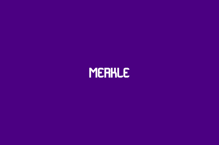 Tech Solutions Company Merkle