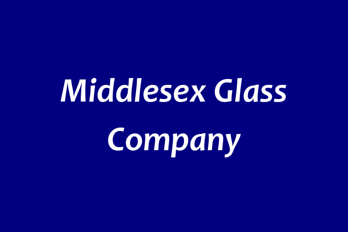 Personnel Management Middlesex Glass Company