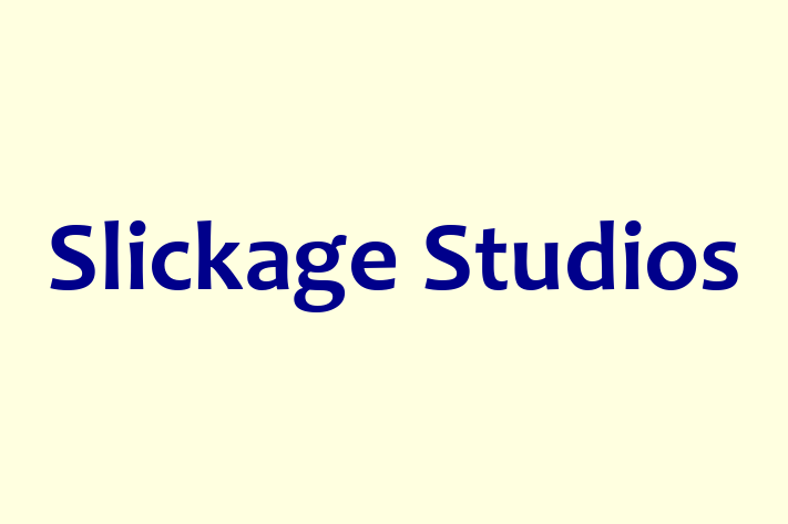 Tech Solutions Company Slickage Studios