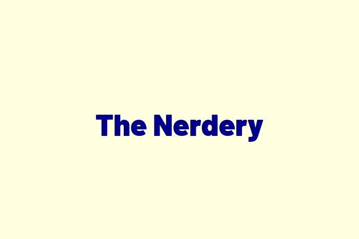 Digital Solutions Provider The Nerdery