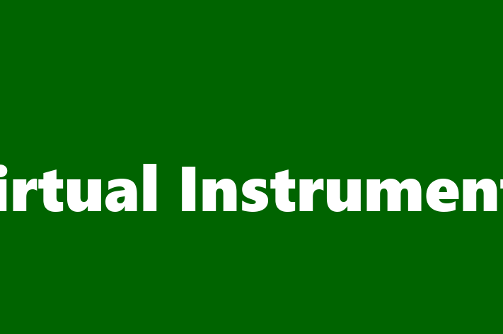 Software Consultancy Virtual Instruments