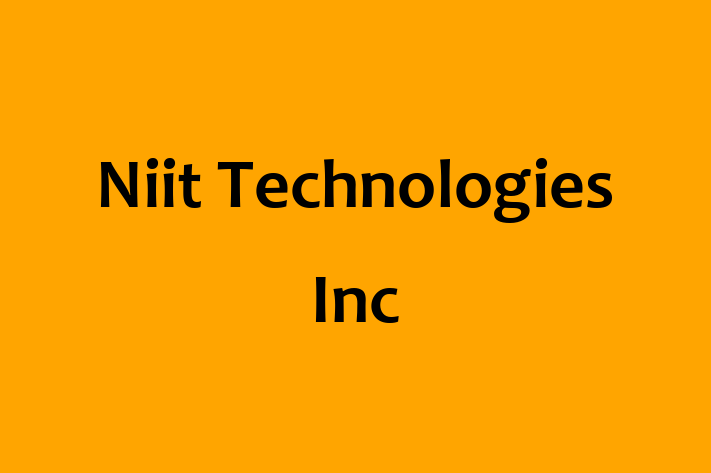 Software Engineering Company Niit Technologies Inc