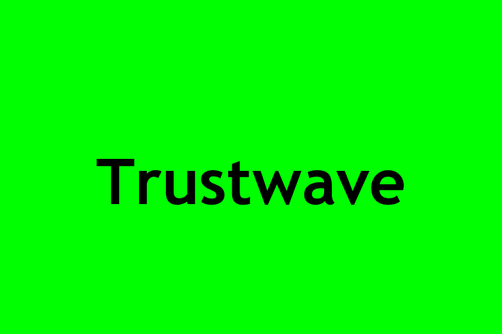 Technology Solutions Firm Trustwave