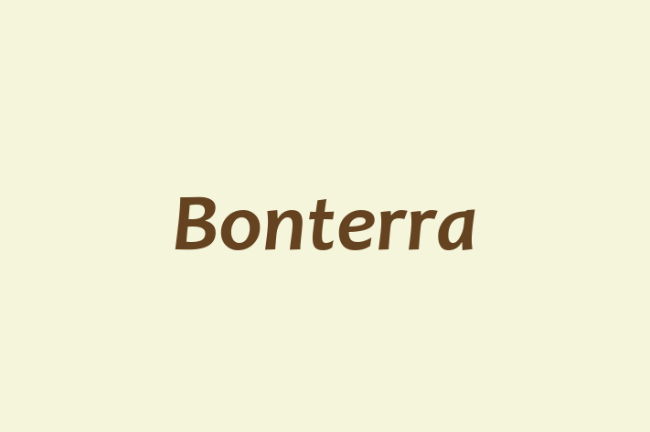 Talent Management Bonterra