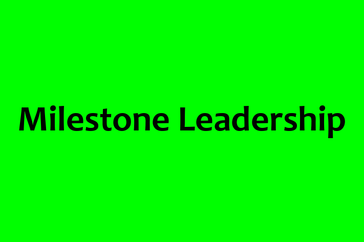 Software Consultancy Milestone Leadership