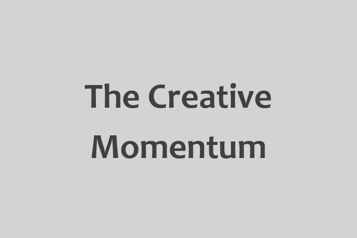 Software Firm The Creative Momentum