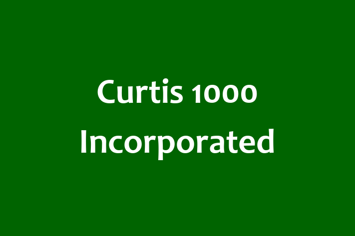 Technology Solutions Firm Curtis 1000 Incorporated