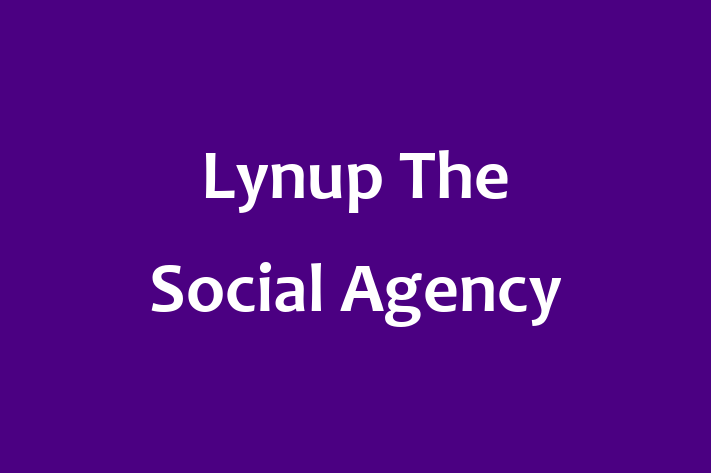 Software Engineering Company Lynup  The Social Agency