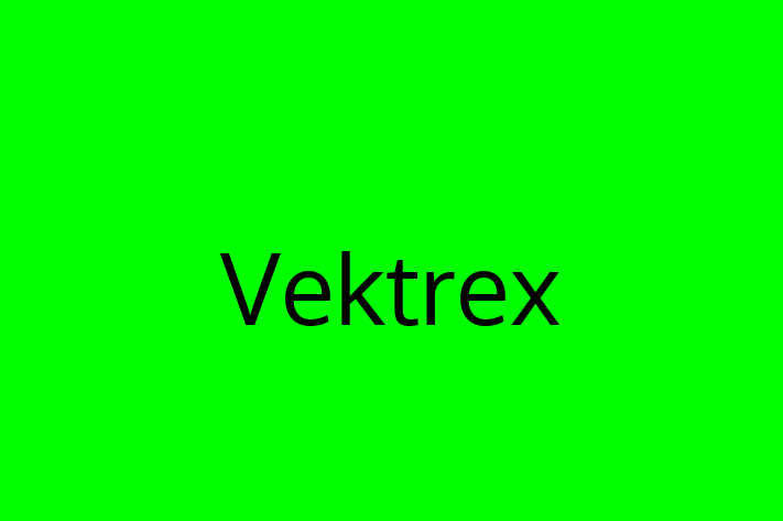 Software Development Company Vektrex