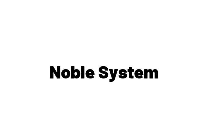 Software Development Company Noble System