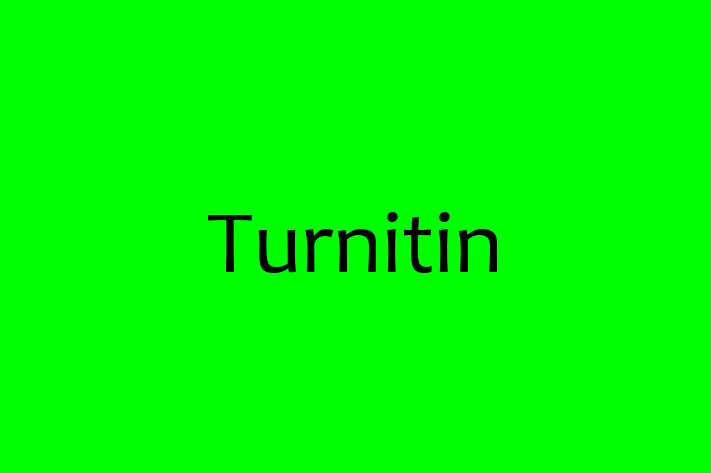 Software Development Company Turnitin