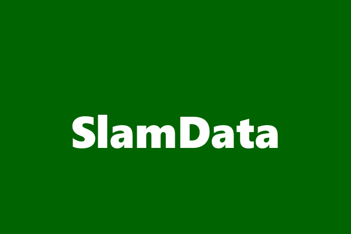 Software Engineering Company SlamData