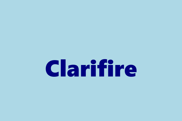 Technology Solutions Firm Clarifire