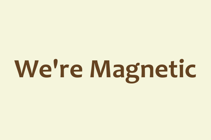 Software Services Company Were Magnetic