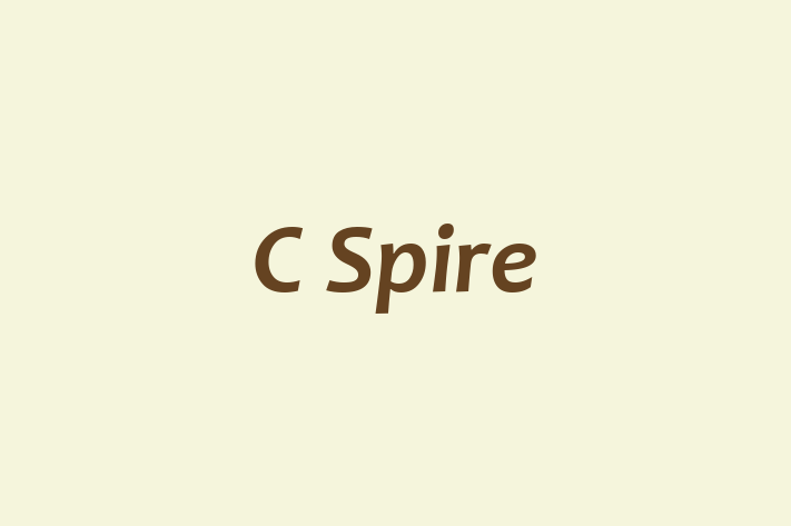 Software Engineering Company C Spire