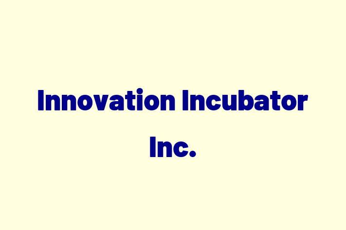 Software Engineering Company Innovation Incubator Inc.