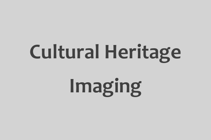 Technology Company Cultural Heritage Imaging