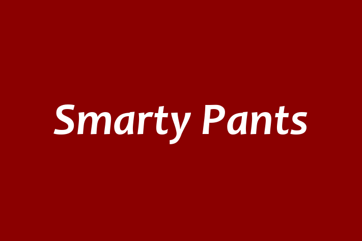 Tech Solutions Company Smarty Pants