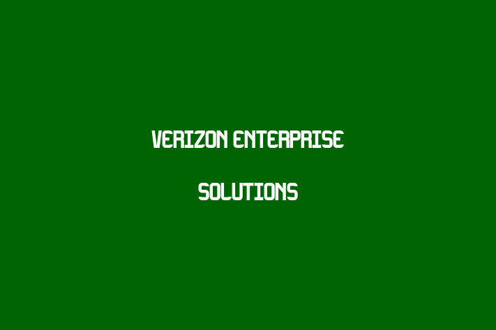 Software Development Firm Verizon Enterprise Solutions