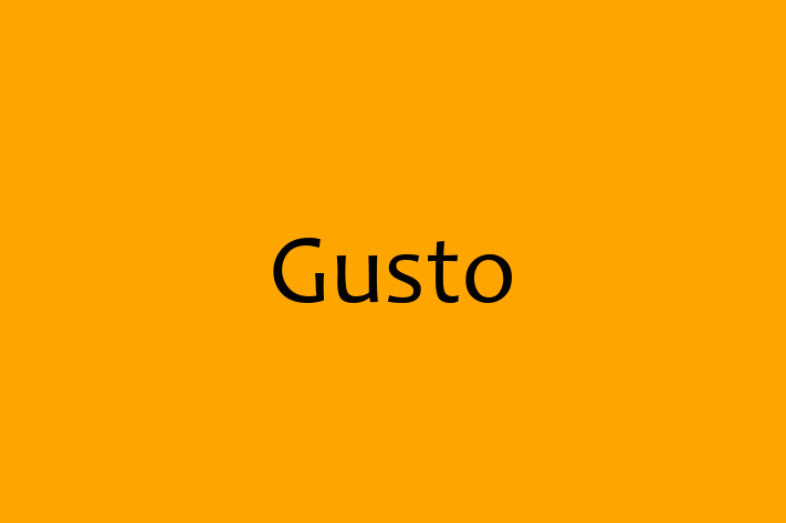 Software House Gusto