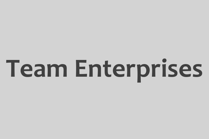 Software Development Firm Team Enterprises