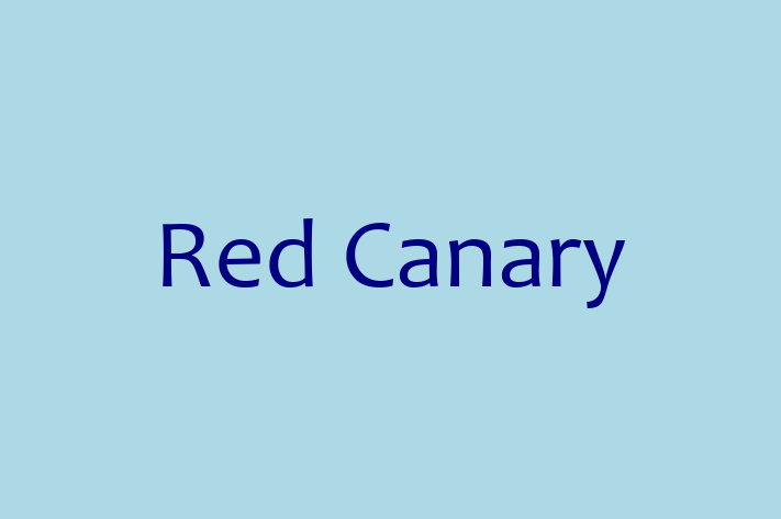 Software Development Firm Red Canary