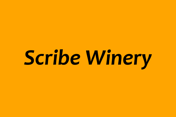 Human Resource Management Scribe Winery