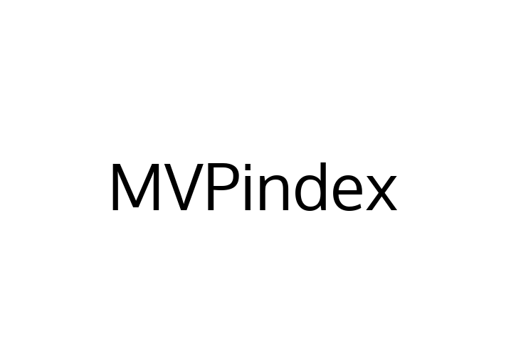 Technology Solutions Firm MVPindex