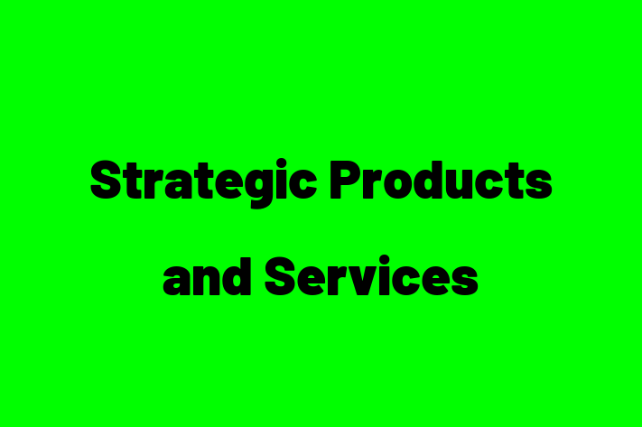 Software Firm Strategic Products and Services