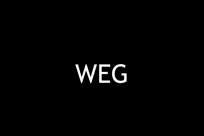 Software Solutions Provider WEG