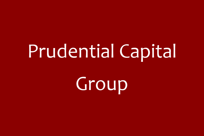 Software Development Firm Prudential Capital Group