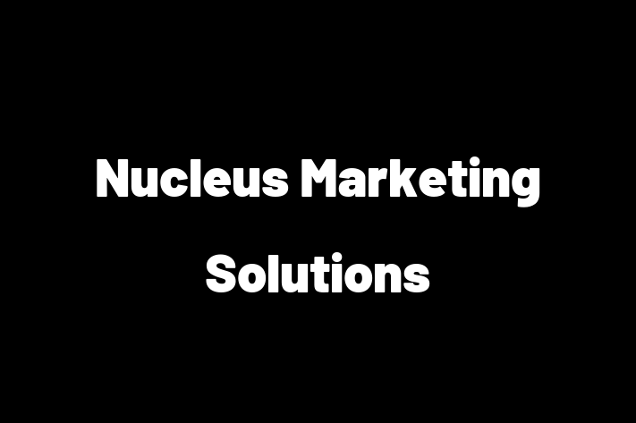 IT Company Nucleus Marketing Solutions