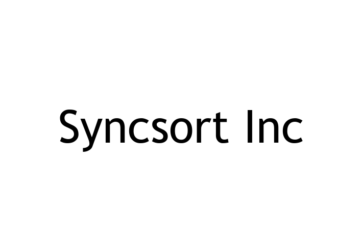 Digital Solutions Provider Syncsort Inc