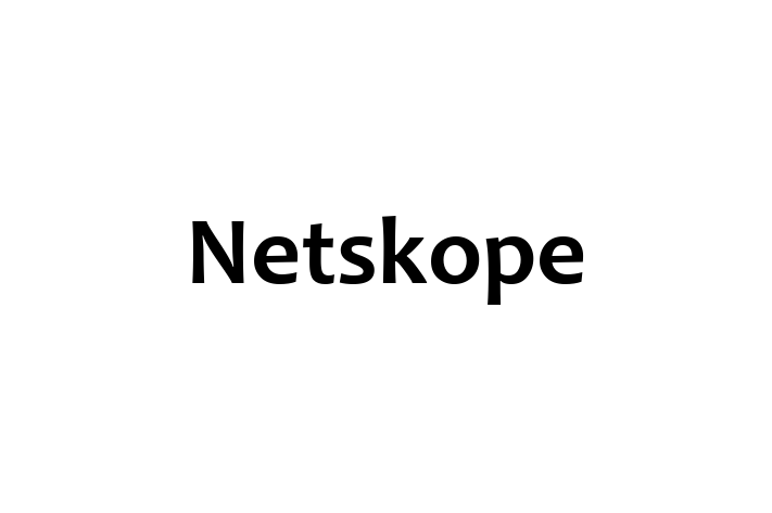 Tech Solutions Company Netskope