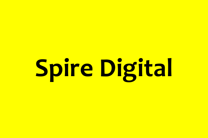 Software Solutions Provider Spire Digital