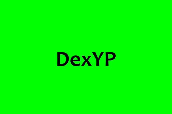 Software Development Company DexYP