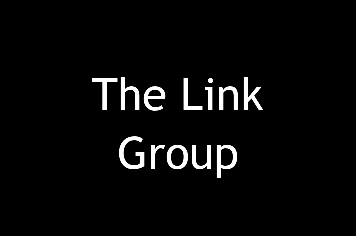 Software Firm The Link Group