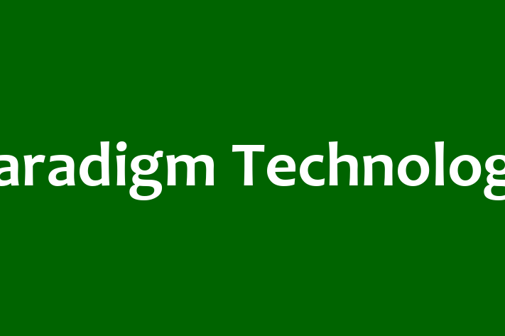 Software Development Company Paradigm Technology