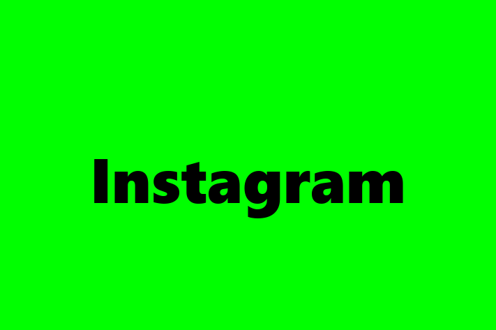 Software Consultancy Instagram