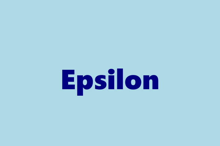 Technology Company Epsilon