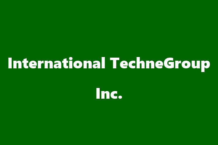 Software Services Company International TechneGroup Inc.