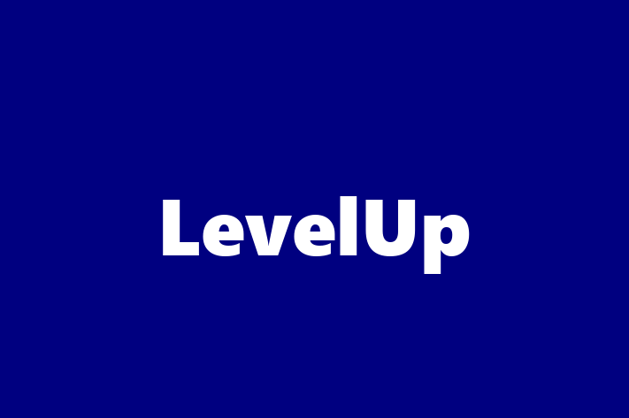 Software Services Company LevelUp