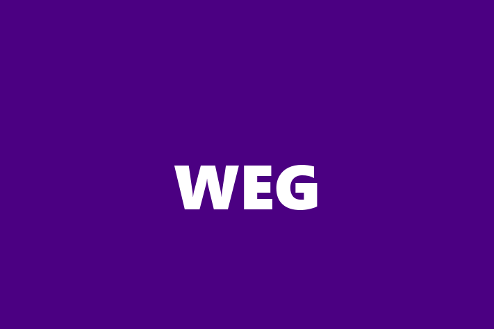 Tech Firm WEG